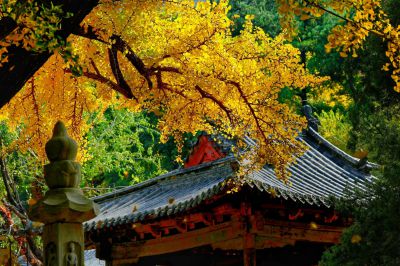 大灵隐寺