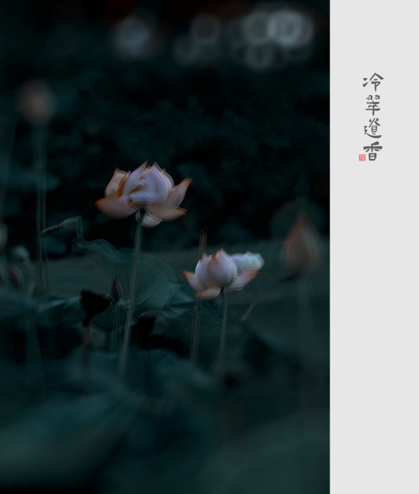 【冷翠遗香】
