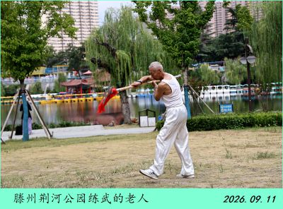 公园随拍——3