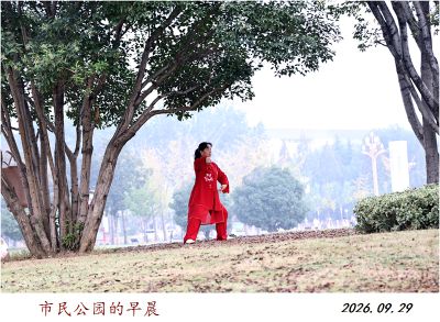 打拳