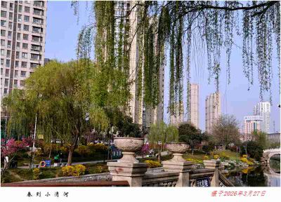 春到小清河——1
