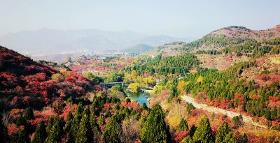 红叶谷风光