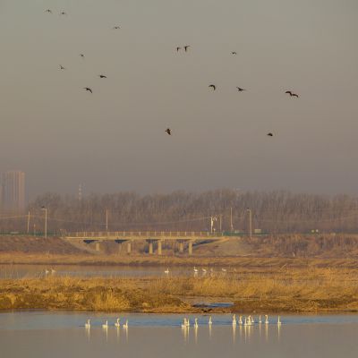 济南天桥沉沙湖风景2
