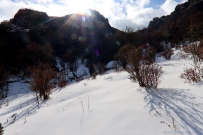 山顶上的风景