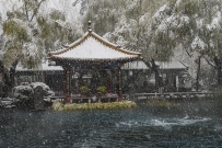 趵突泉瑞雪