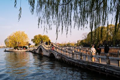 大明湖畔赏景
