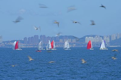 驭风逐浪 向海而生
