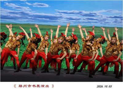 书展演出——8