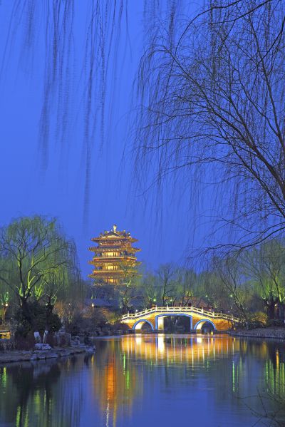 春风又绿明湖岸