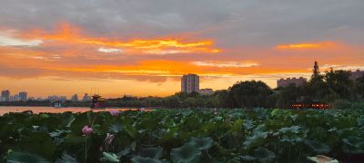 大明湖的晚霞