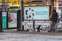 隔墙领快递