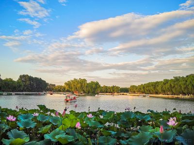 后海