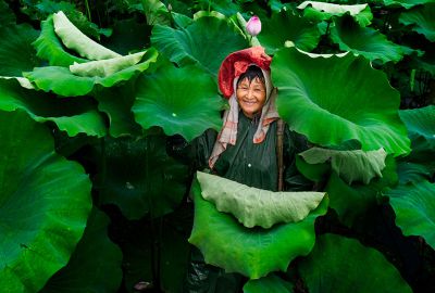淳朴美
