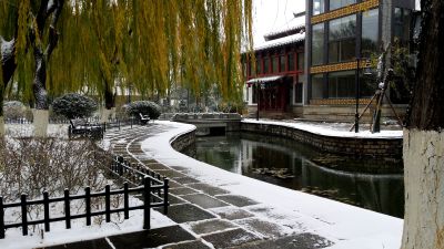 冬日大明湖
