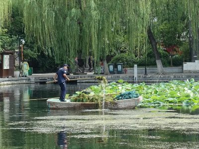 镜观消费·出片百花洲4