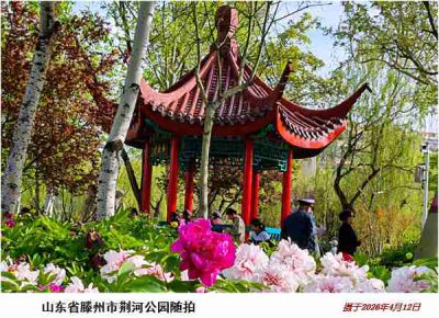 逛公园——16