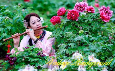 《国色天香春满园》