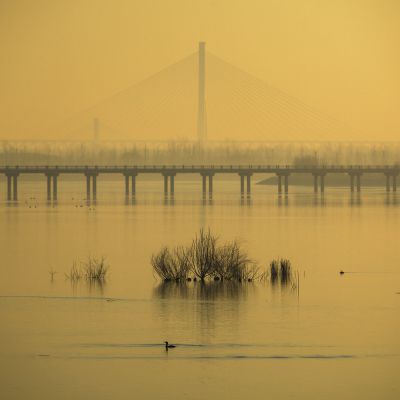 济南天桥沉沙湖风景3