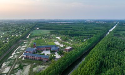 《湿地美景》