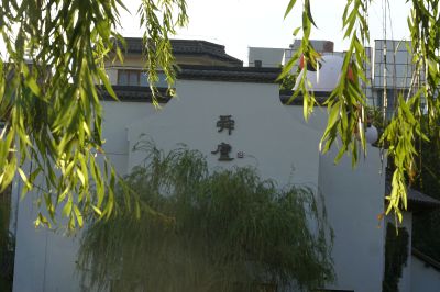 舜庐映绿柳