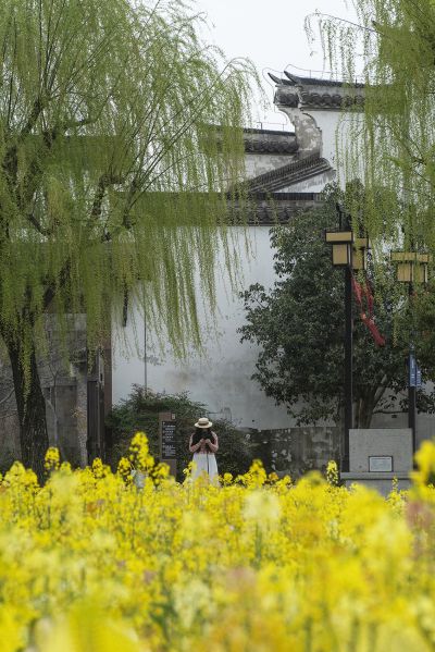 【花海入画】广富林遗址