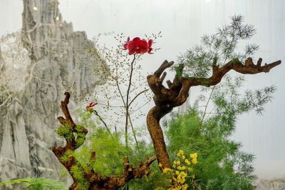 插花盆景