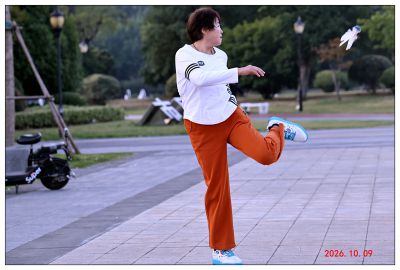 踢毽子——7
