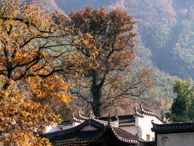 塔川秋色（2）