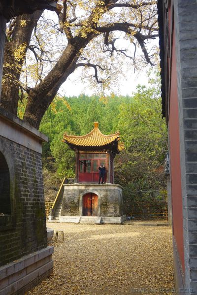 淌豆寺8