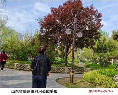 逛公园——6