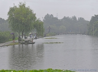 雨中猎奇