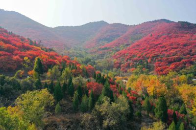 济南南部山区东捎近村赏秋