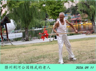 公园随拍——