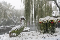 雪中鹤望亭
