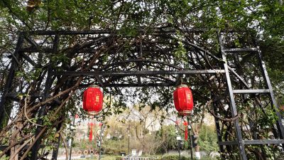 护城河畔
