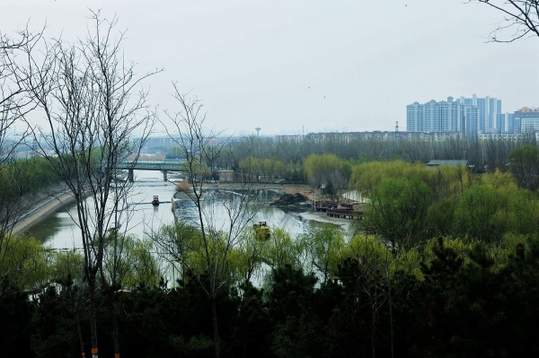 又是一个春天