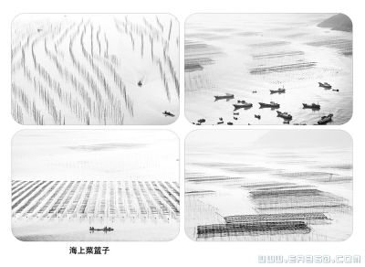 海上菜篮子