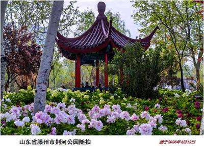 逛公园——35