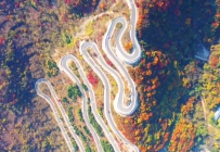 秋路