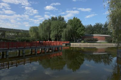 岸柳映秋光