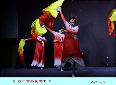 展示书城演出——7