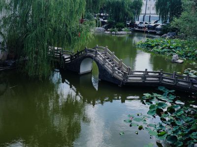 小桥菏塘