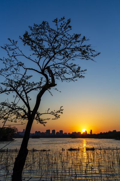 明湖夕照