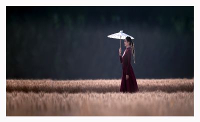 麦田人像