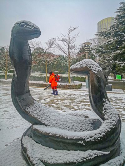 乙巳年初雪