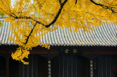 灵岩寺客堂