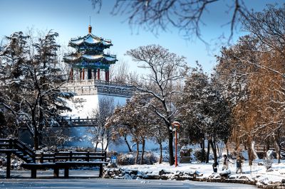 雪后少陵
