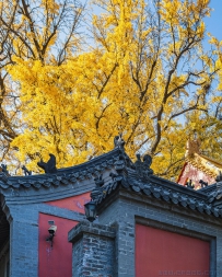 淌豆寺秋色