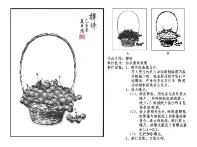 暗房技法 -《樱珠》
