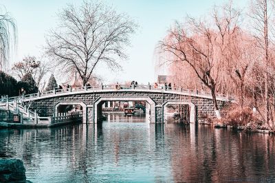 《大明湖》